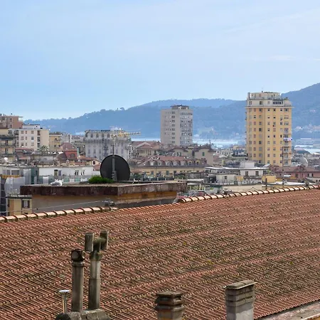 Blue Dream 14 斯培西亚